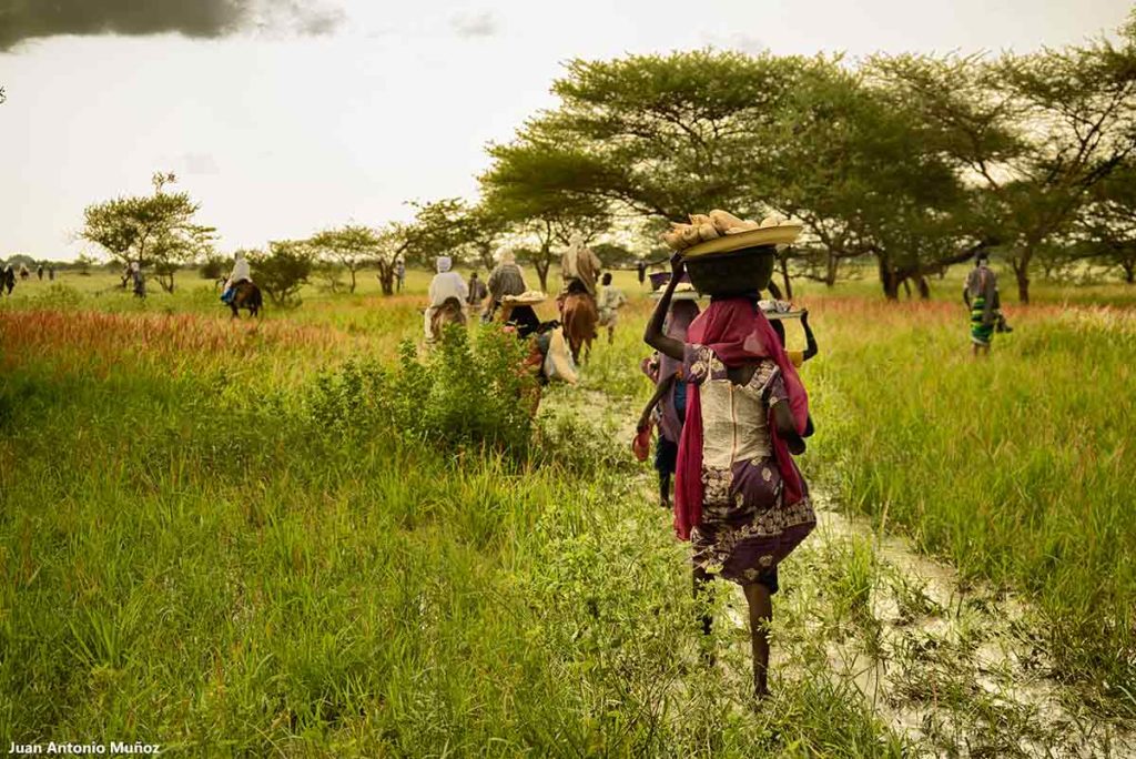 Hacia el campo de carreras. Chad