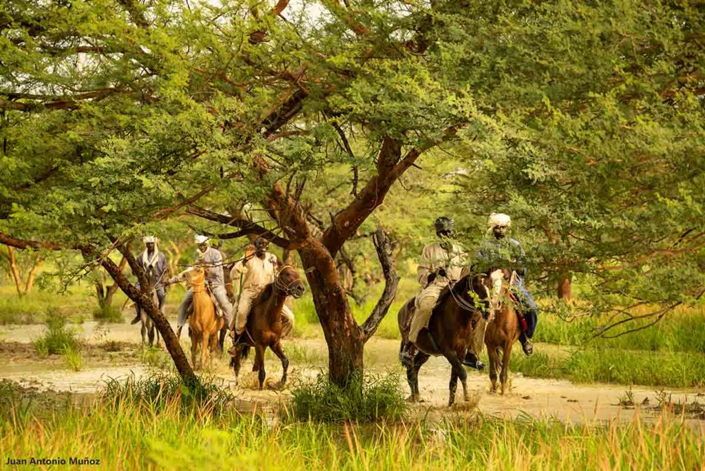 Jinetes en el pantanal. Chad