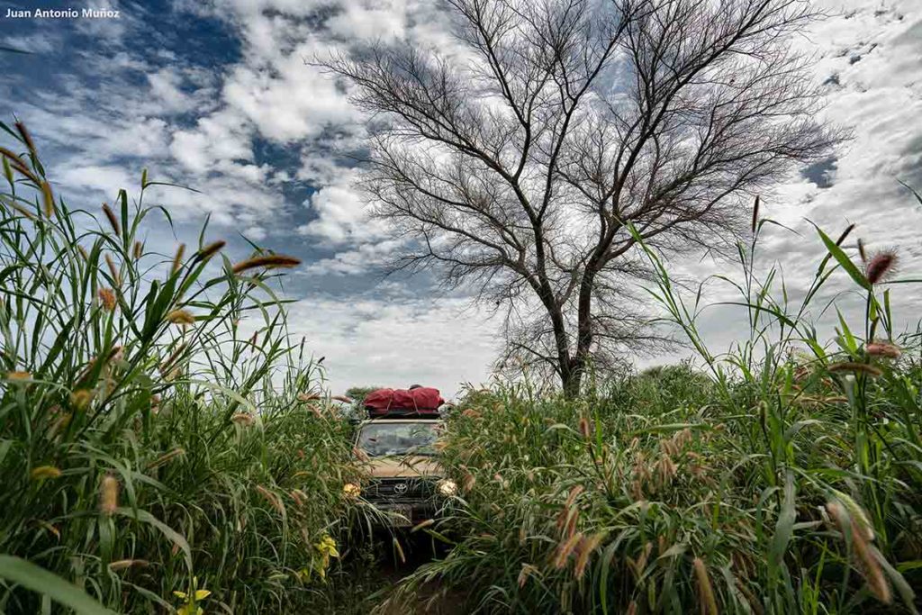 4x4 en Chad