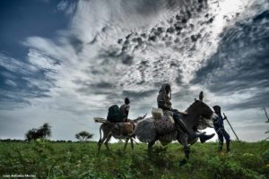 Llegando en burros. Chad