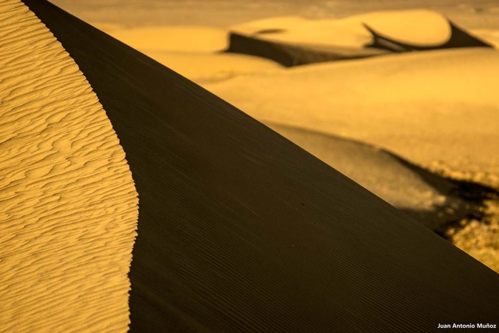 Dunas Gobi. Mongolia