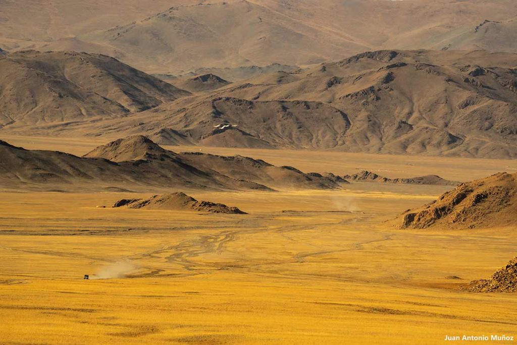 Pista en Ulgii. Mongolia