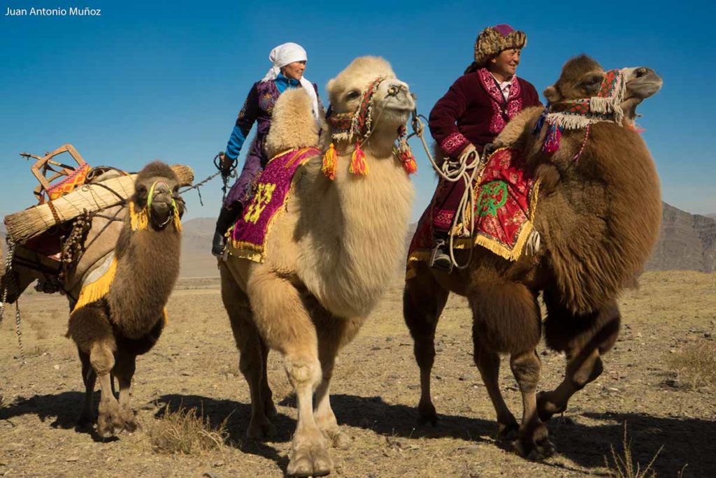 Caravaneros. Mongolia