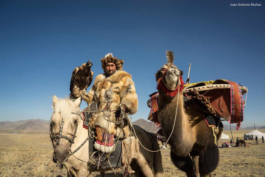Eaglehunter y camello. Mongolia