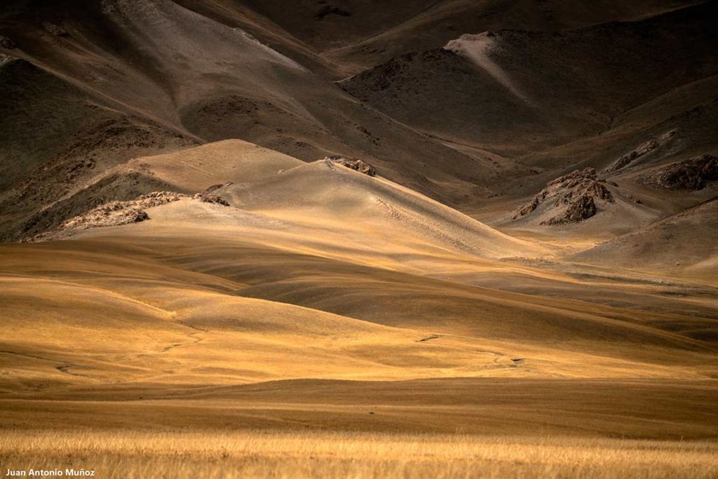 Luces y sombras. Mongolia