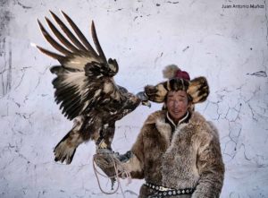 Eaglehunter. Mongolia