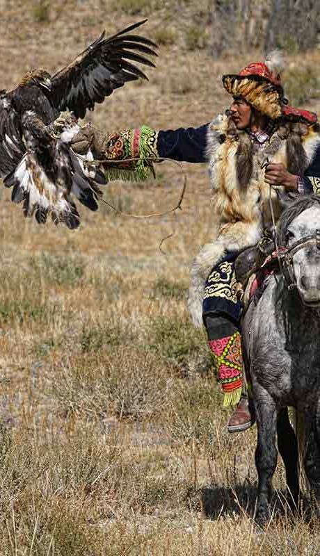 Llegando águila. Mongolia