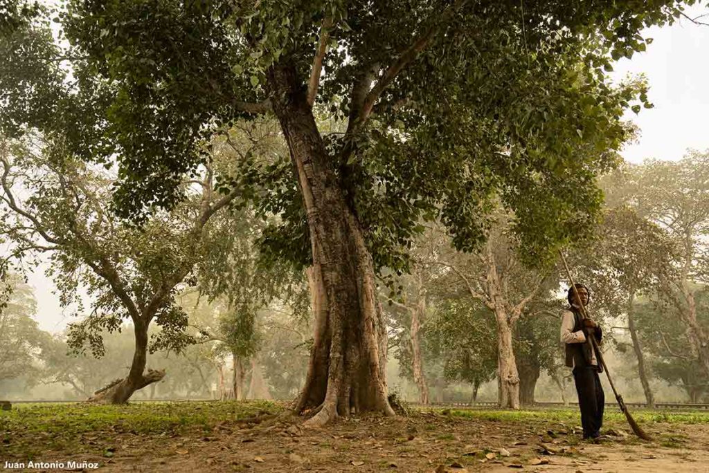 Limpiando jardín. Nepal