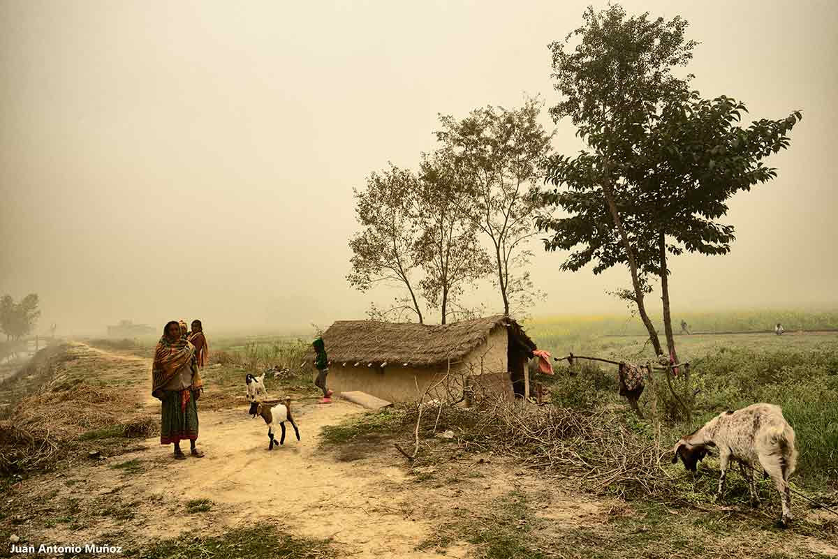 Aldea en niebla. Nepal