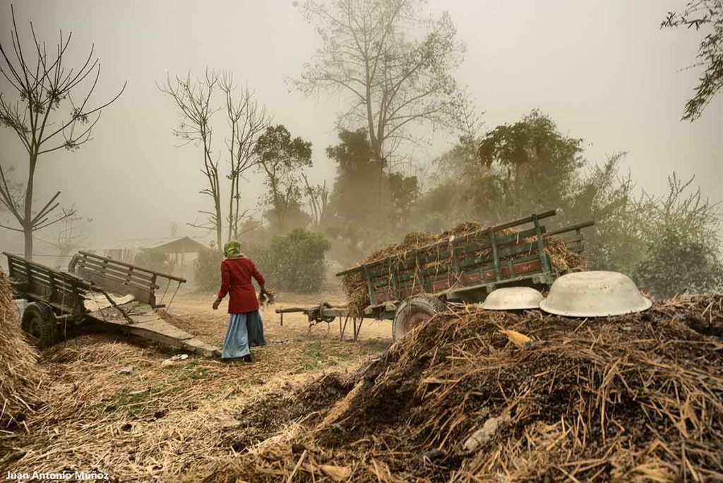 Carromatos en niebla. Nepal