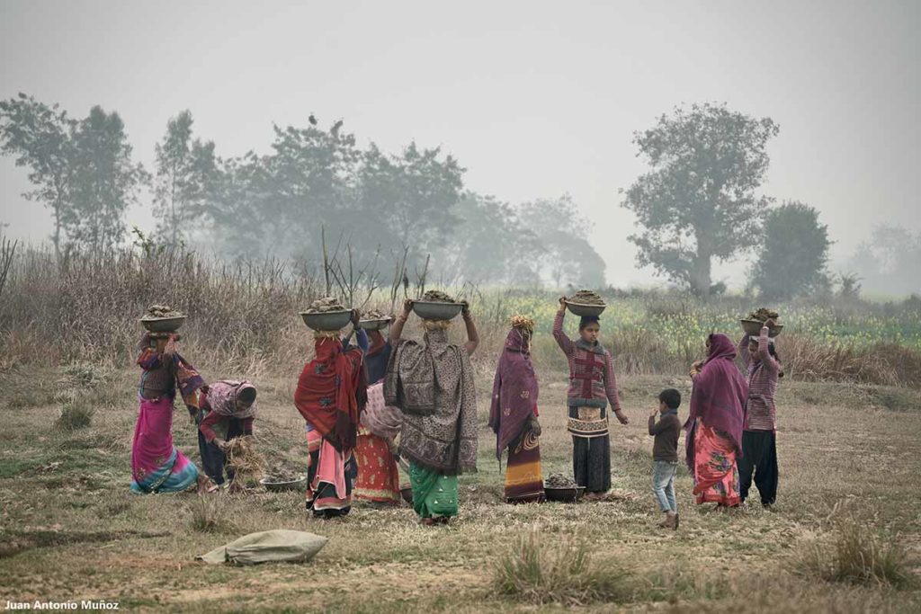 Mujeres en trabajo. Nepal