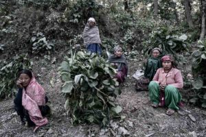 Mujeres del bosque. Nepal