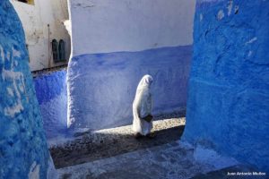 Mujer Chaouen. Marruecos