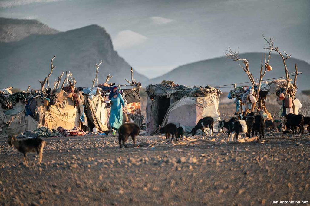 Campamento nómada Laoudi. Marruecos