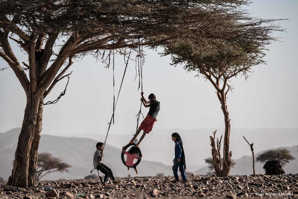 Jugando en la acacia. Marruecos