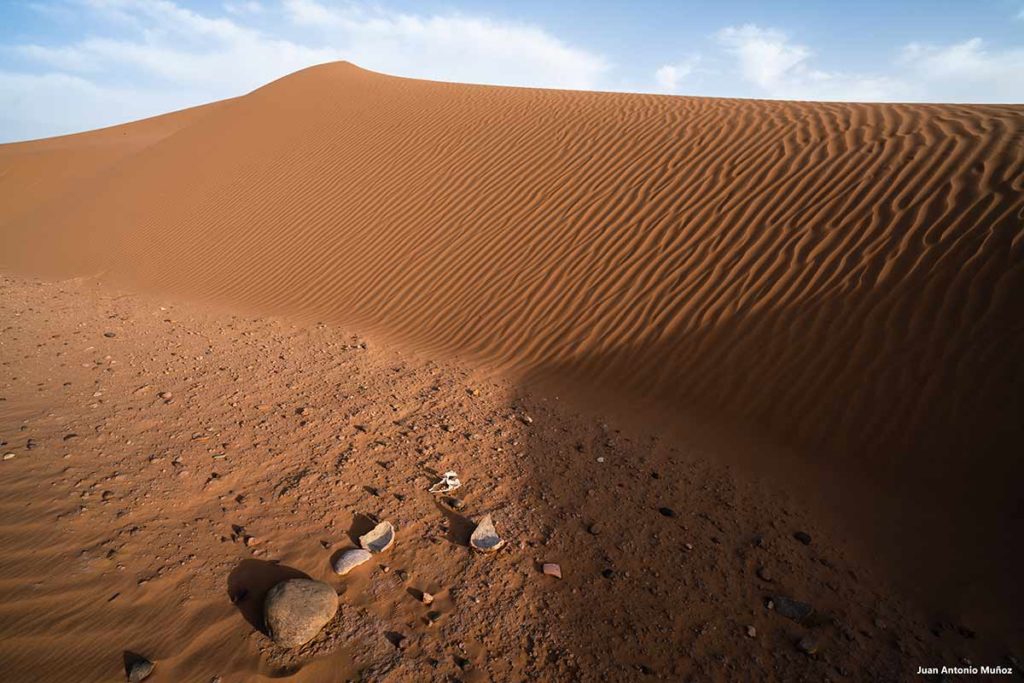 Cerámica del desierto. Marruecos