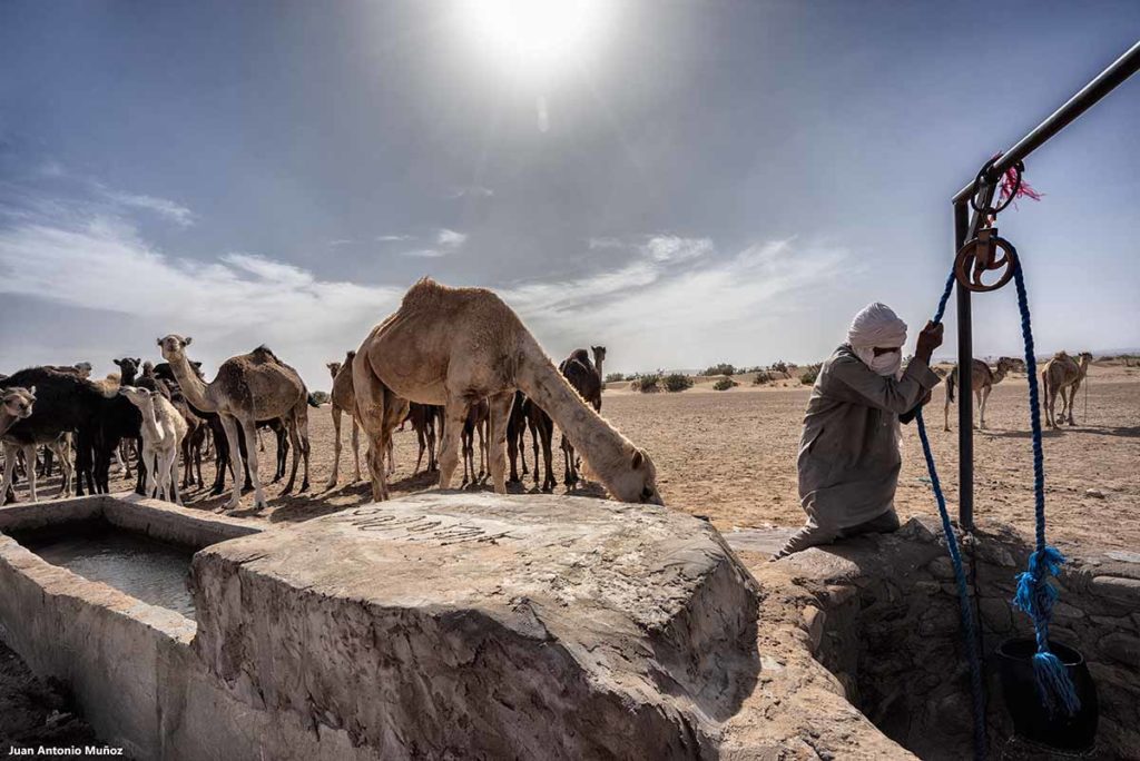 Pozo desierto. Marruecos