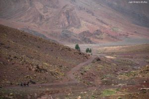 Caminando hacia el camp. Marruecos