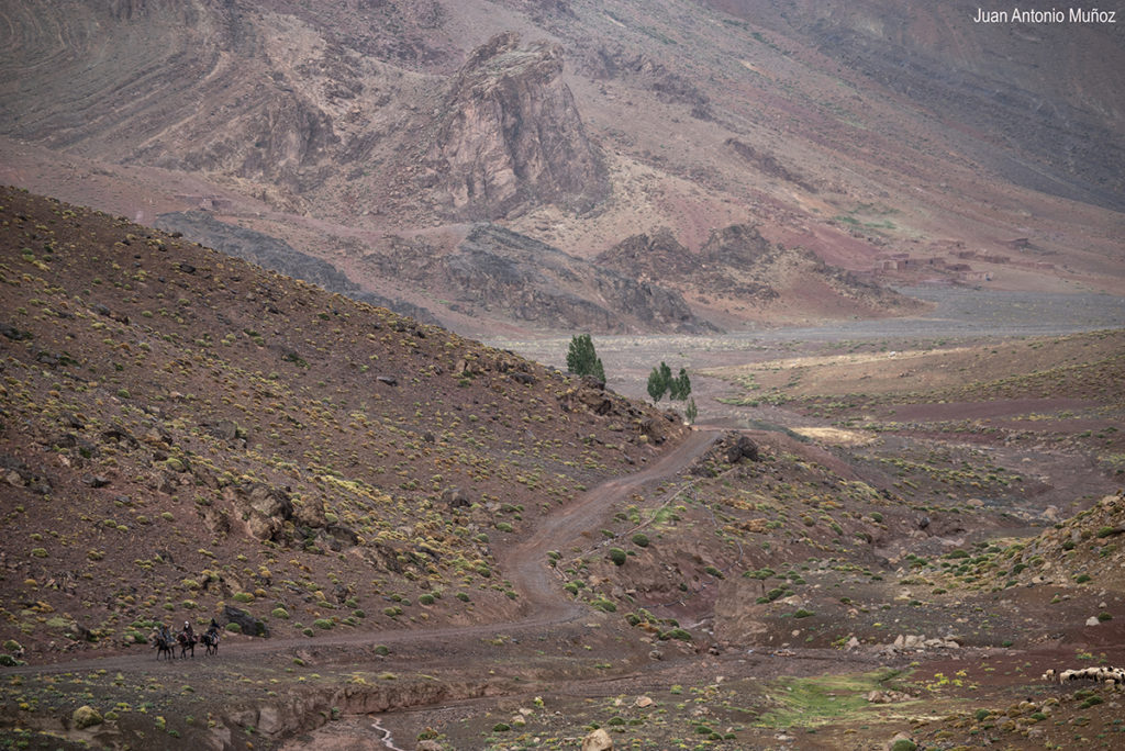 Camino a la jaima. Atlas. Marruecos