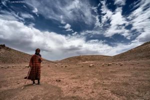 Pastora Atlas. Marruecos