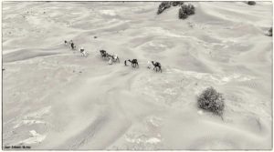 Caravana desde el aire. Marruecos