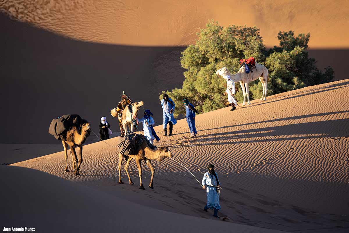 Caravana entre dunas. Marruecos