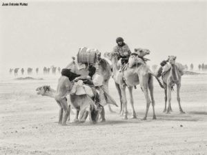 Caravana Mauritania.