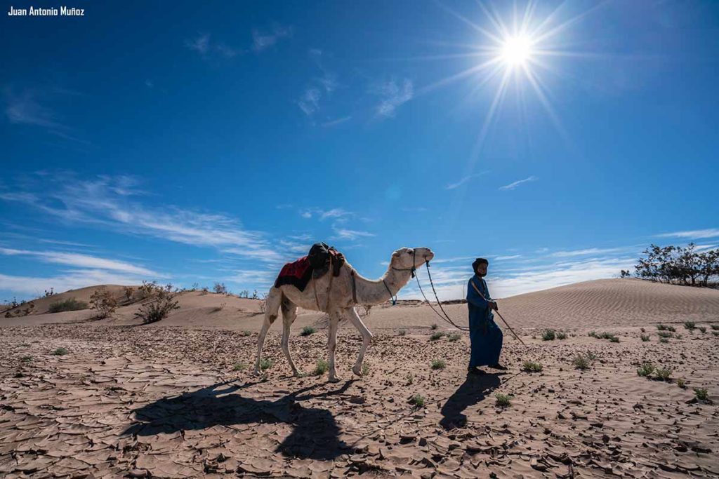 Suelo cuarteado. Marruecos