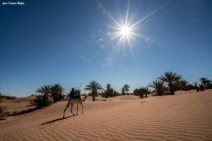 Sol abrasador en dunas. Marruecos