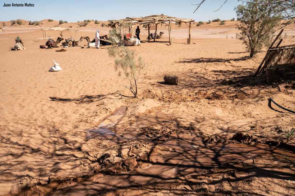 Punto agua desierto. Marruecos