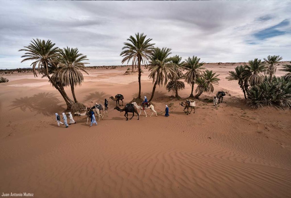 Caravana entrando oasis. Marruecos