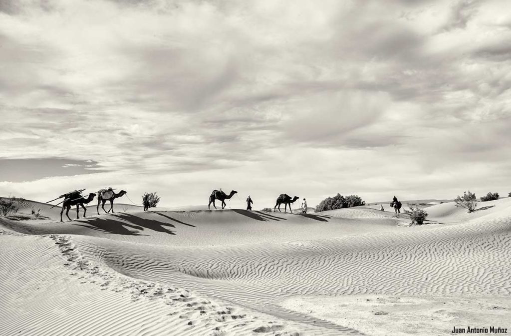 Caravana cresta duna. Marruecos